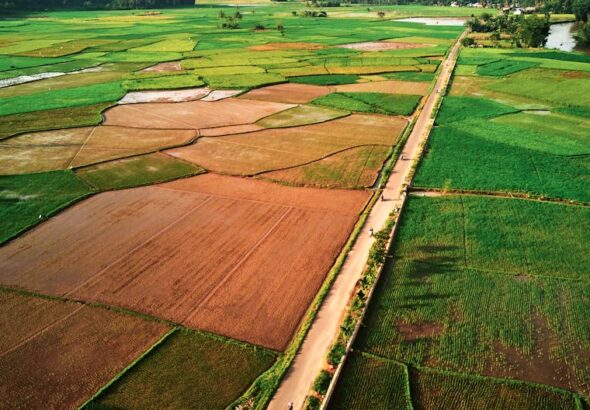 Peluang Bisnis Berkelanjutan: Limbah untuk UMKM Kreatif