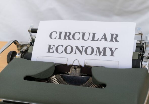 Peluang Bisnis Green Economy untuk UMKM di Indonesia