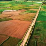 Teknologi Pertanian Berkelanjutan untuk UMKM Indonesia